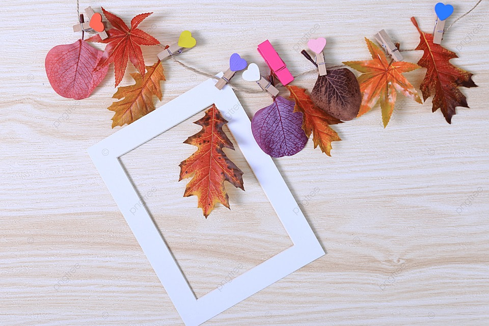 تجمع طالبات جامعات الإمارات العربية 